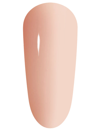 The GelBottle Fibre BIAB™ #19