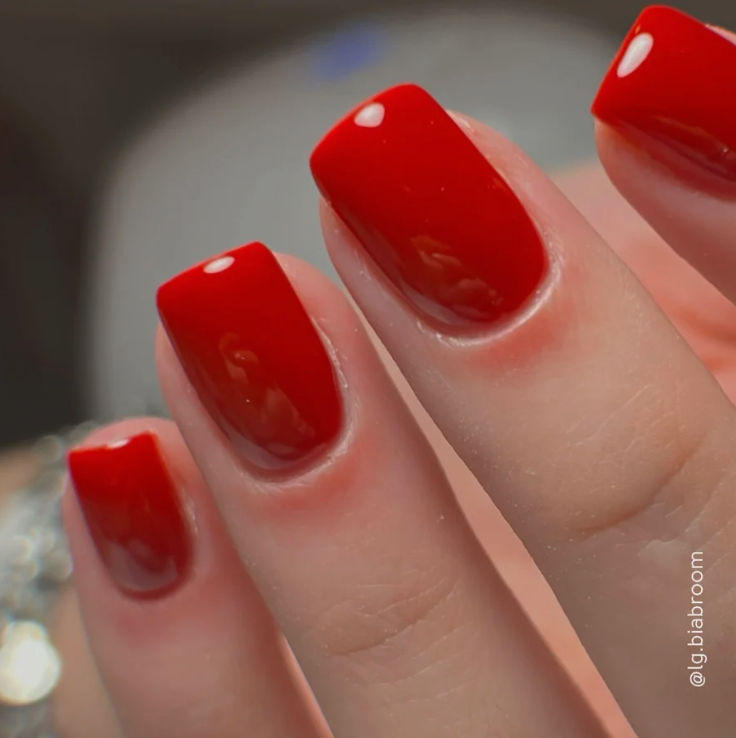 Colortone NN Soft Builder Gel Merlot