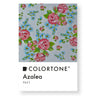 Colortone Clear Azalea Foil