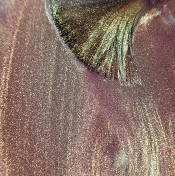 The GelBottle Cat Eye Sunkissed