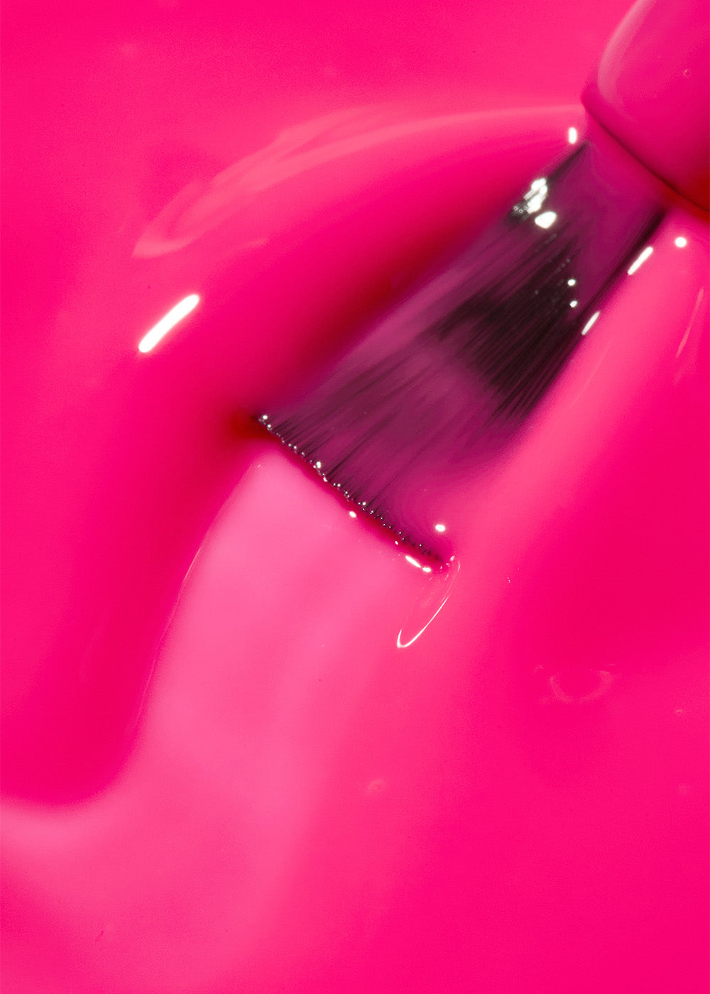 The Gelbottle Pop